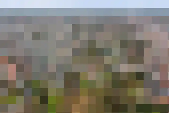 Hogebergdreef 9 Putte thumbnail 34