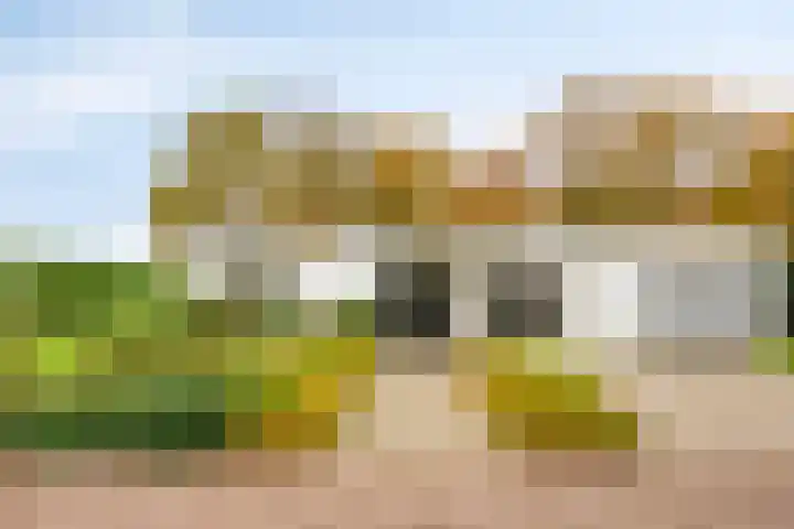 Hogekant 14 dans Dongen