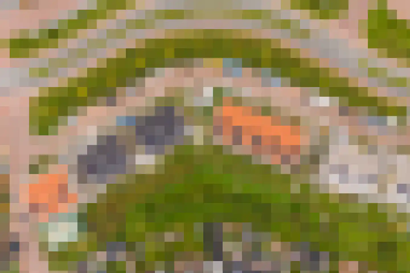 Hogelandster 5 Voorthuizen thumbnail 12