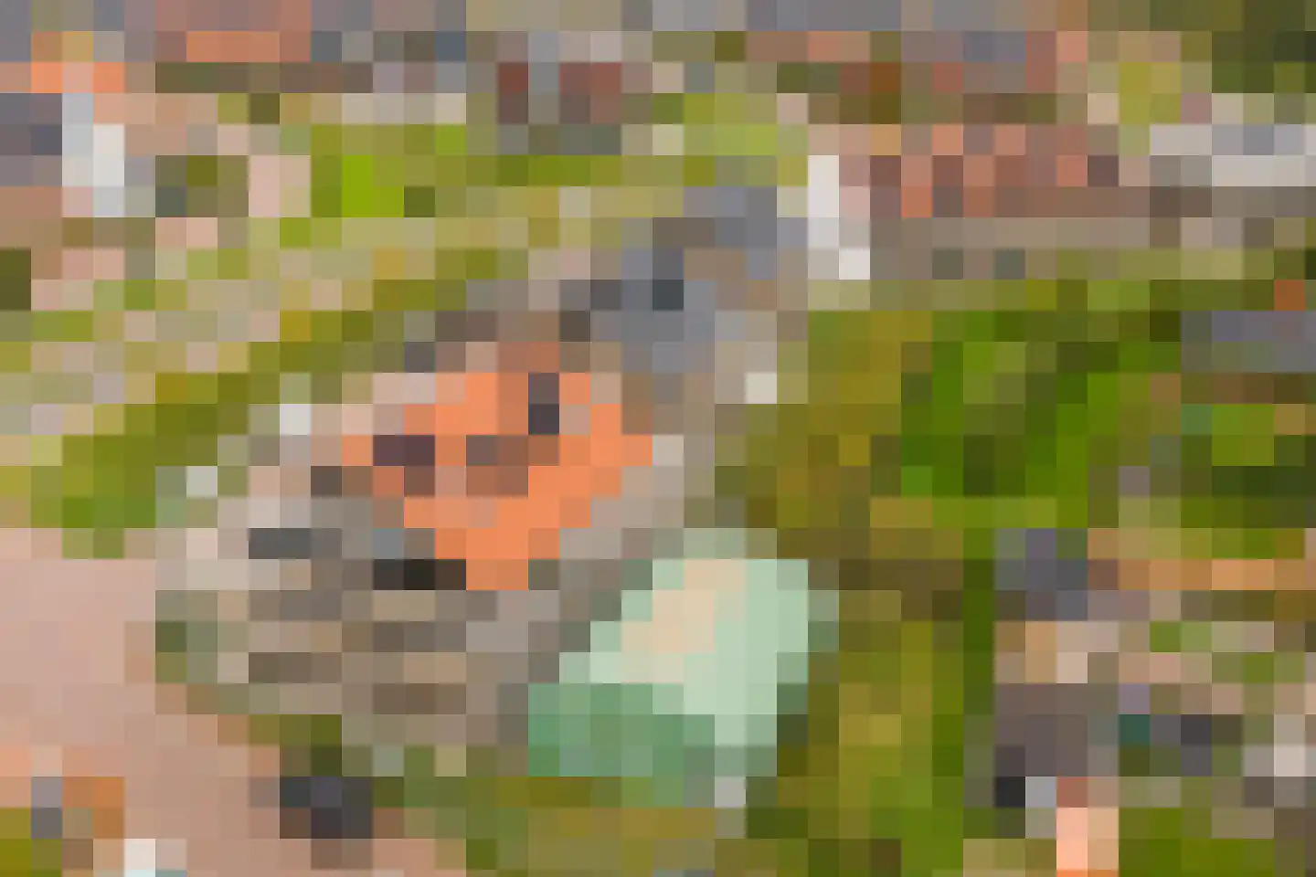 Hogelandster 5 Voorthuizen thumbnail 8
