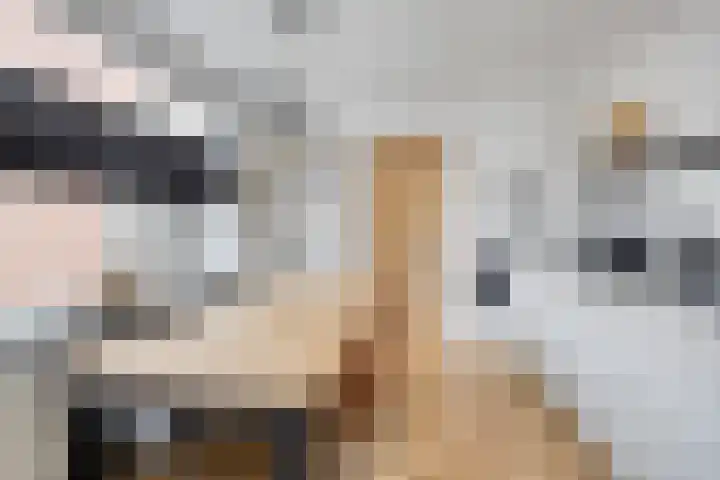 Hogeluchtsweg 21 Wierden thumbnail 11