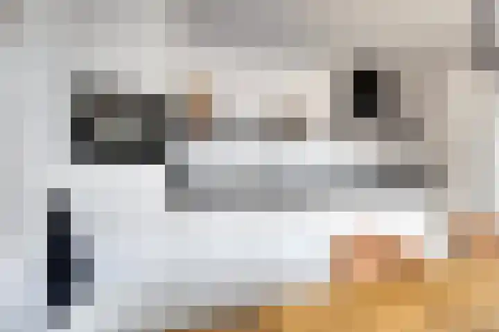 Hogeluchtsweg 21 Wierden thumbnail 14