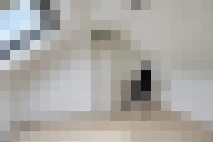 Hogeluchtsweg 21 Wierden thumbnail 25