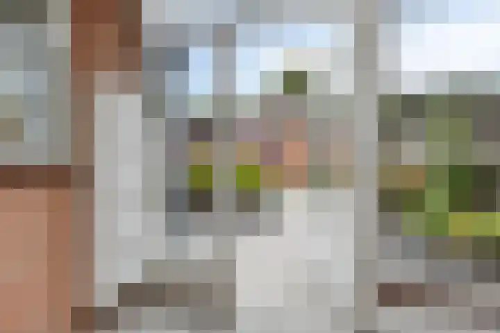 Hogeluchtsweg 21 Wierden thumbnail 30