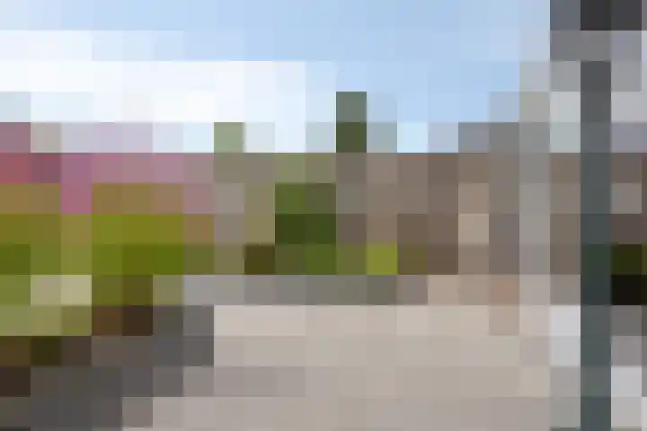 Hogeluchtsweg 21 Wierden thumbnail 31