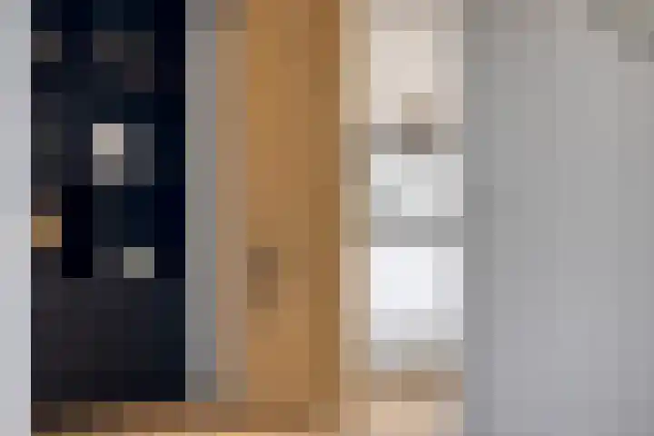 Hogeluchtsweg 21 Wierden thumbnail 8