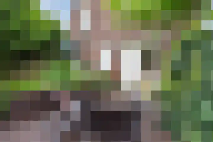 Hogendijk 192 Zaandam thumbnail 10