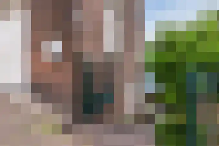 Hogendijk 192 Zaandam thumbnail 7