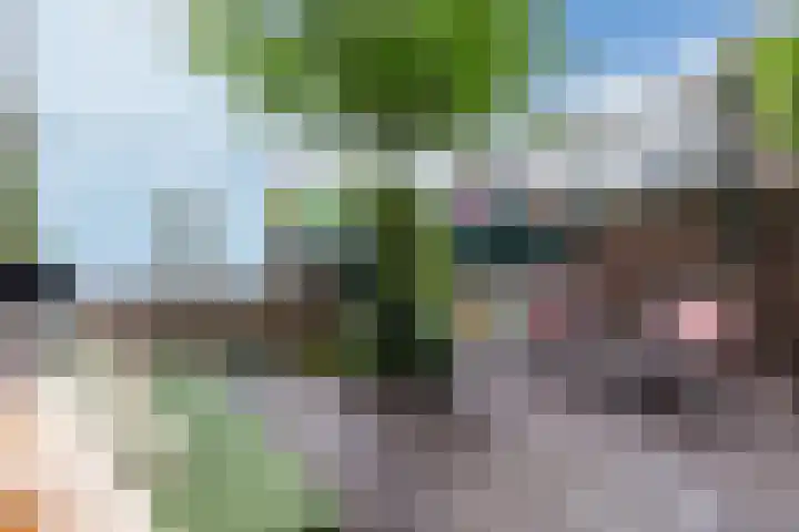 Hogendijk 192 Zaandam thumbnail 8