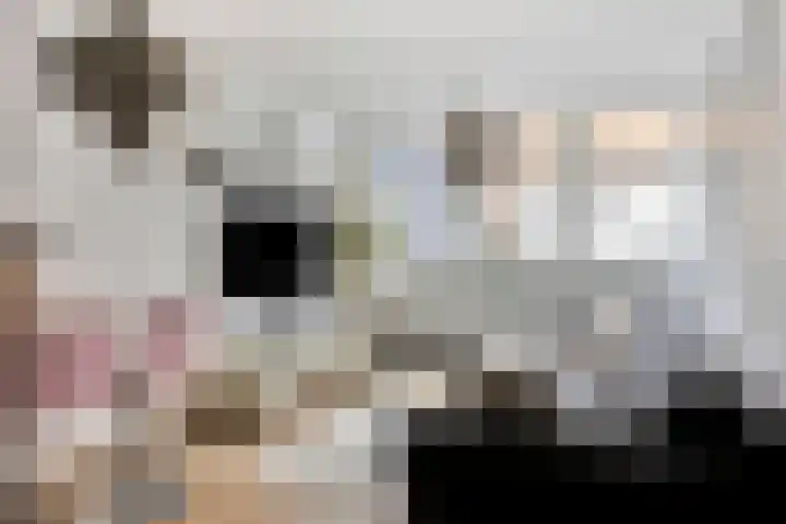 Hogendijk 32 A Zaandam thumbnail 9