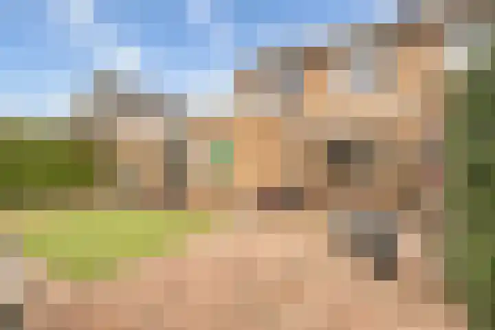 Hogenendseweg 31 Didam thumbnail 16