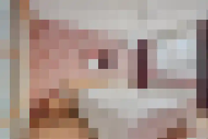 Hogenendseweg 31 Didam thumbnail 17