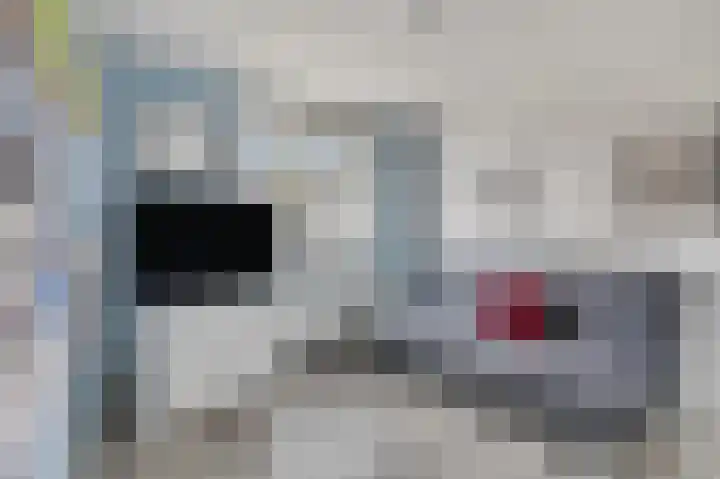 Hogenendseweg 31 Didam thumbnail 18