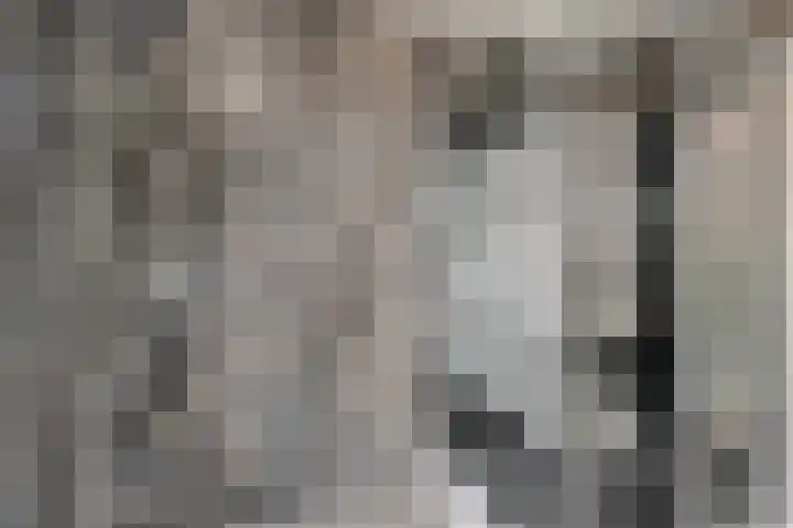 Hogenendseweg 31 Didam thumbnail 22