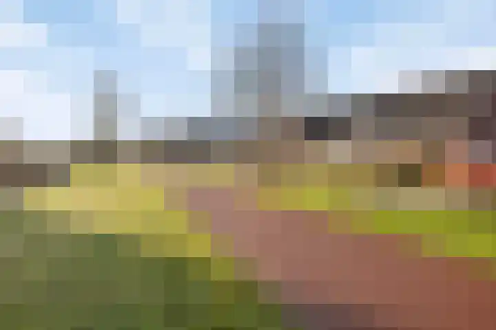 Hogenhof 14 Losser thumbnail 39