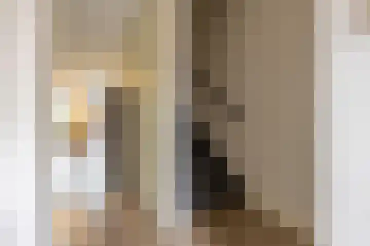 Hogenkamp 7 Beneden-Leeuwen thumbnail 25