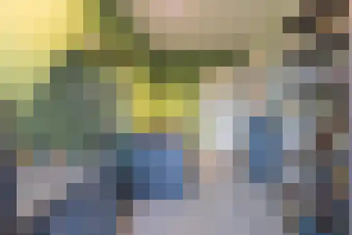Hogenkamp 7 Beneden-Leeuwen thumbnail 31