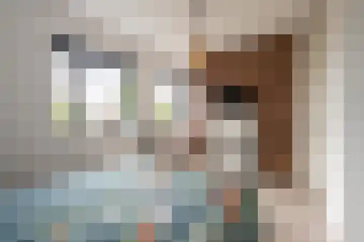 Hogenkamp 7 Beneden-Leeuwen thumbnail 33