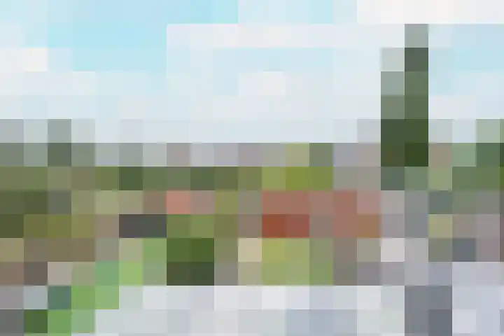 Hogenkamp 7 Beneden-Leeuwen thumbnail 34