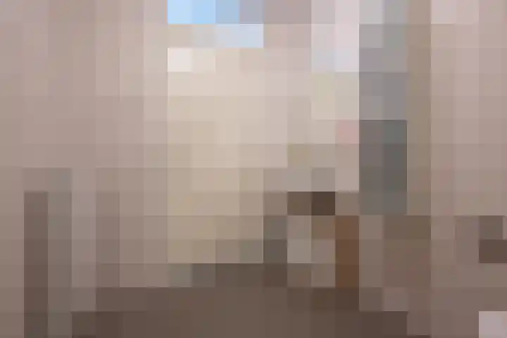 Hogenkamp 7 Beneden-Leeuwen thumbnail 37