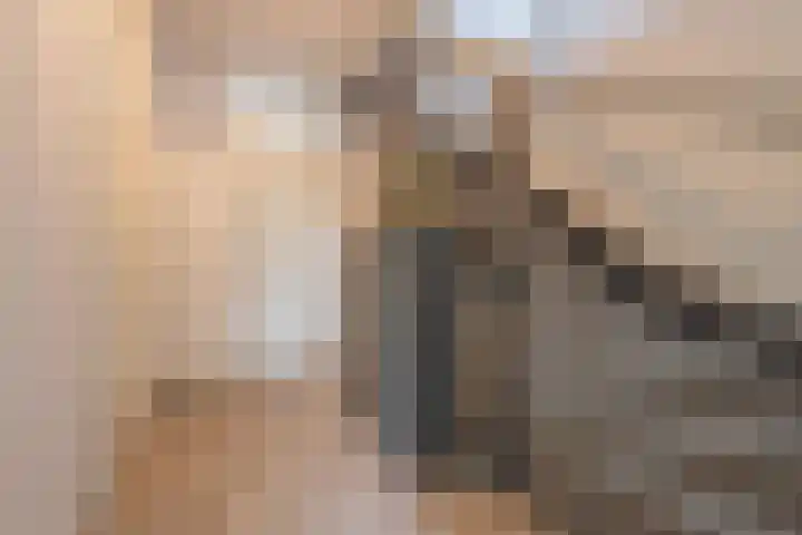 Hogenkamp 7 Beneden-Leeuwen thumbnail 39