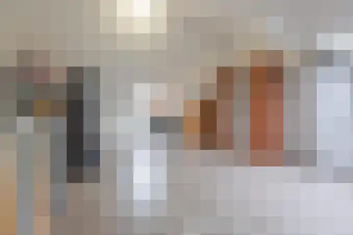 Hogenkamp 7 Beneden-Leeuwen thumbnail 40