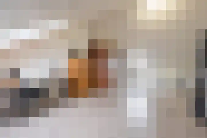 Hogenkamp 7 Beneden-Leeuwen thumbnail 41