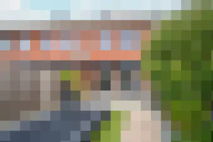 Hogenkamp 7 Beneden-Leeuwen thumbnail 50