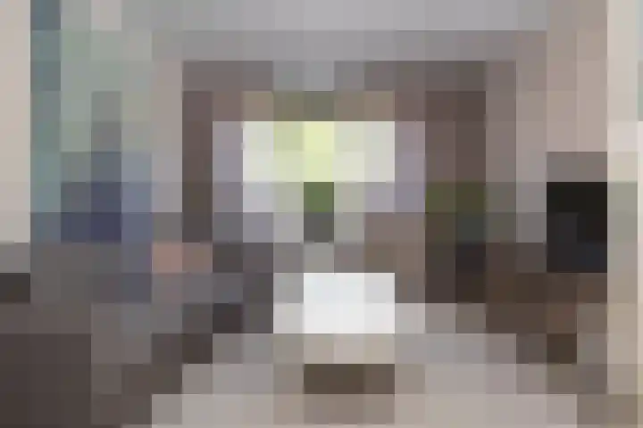 Hogenkamp 7 Hattem thumbnail 11
