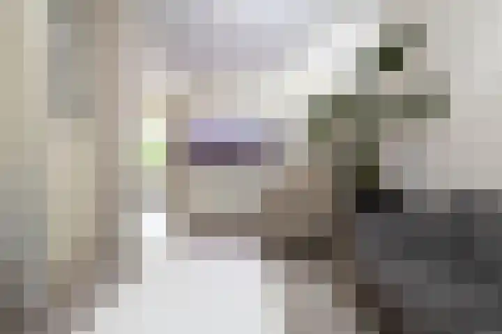 Hogenkamp 7 Hattem thumbnail 12