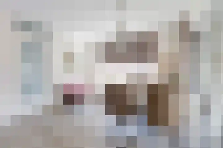 Hogenkamp 7 Hattem thumbnail 14