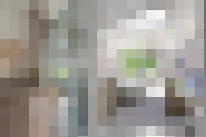 Hogenkamp 7 Hattem thumbnail 15