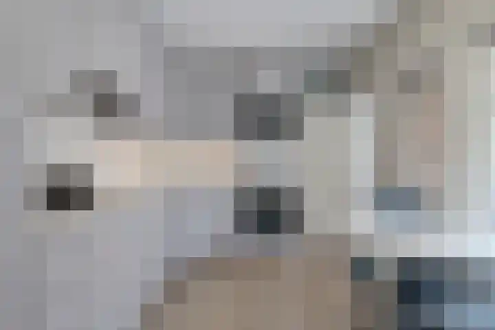 Hogenkamp 7 Hattem thumbnail 18