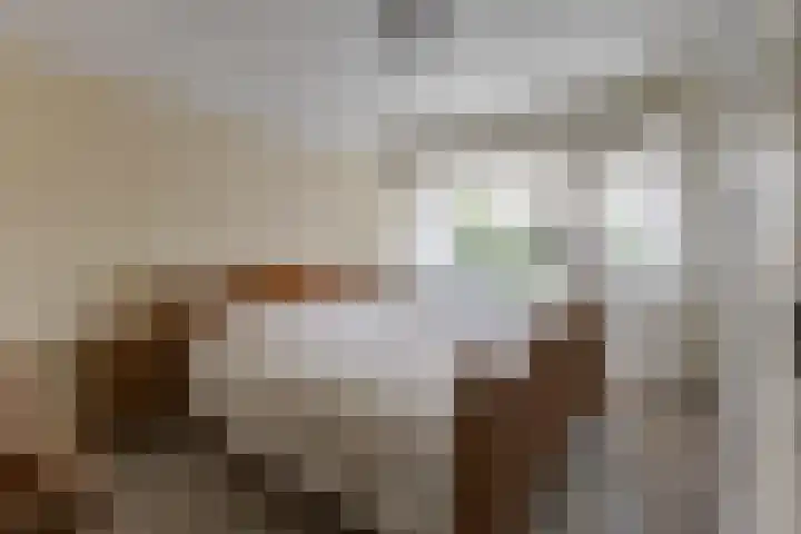 Hogenkamp 7 Hattem thumbnail 20