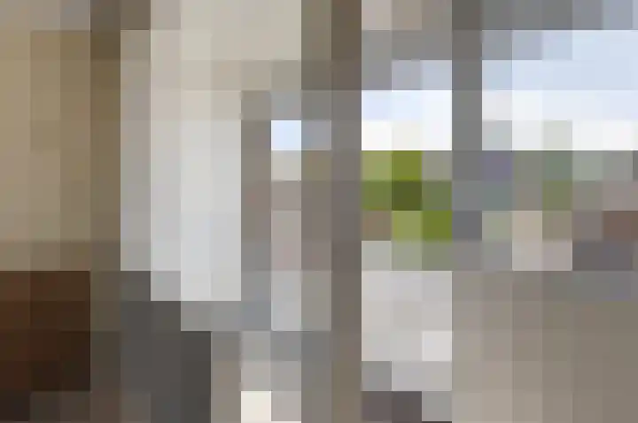 Hogenkamp 7 Hattem thumbnail 21