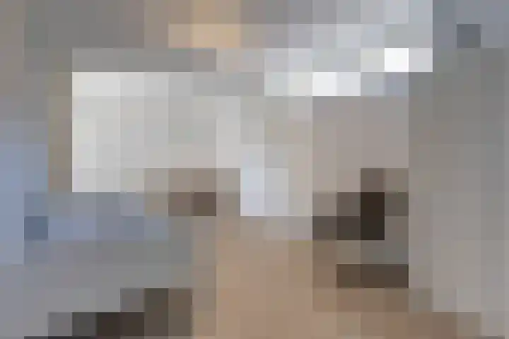 Hogenkamp 7 Hattem thumbnail 23
