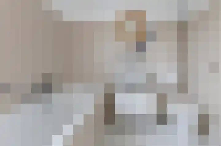 Hogenkamp 7 Hattem thumbnail 27