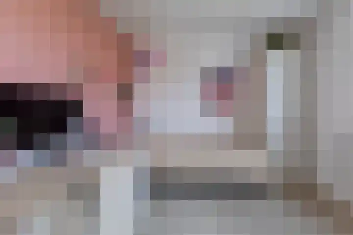 Hogenkamp 7 Hattem thumbnail 29