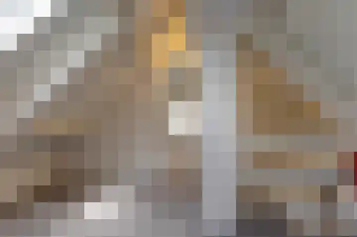 Hogenkamp 7 Hattem thumbnail 31