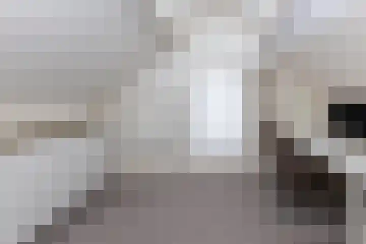 Hogenkamp 7 Hattem thumbnail 33