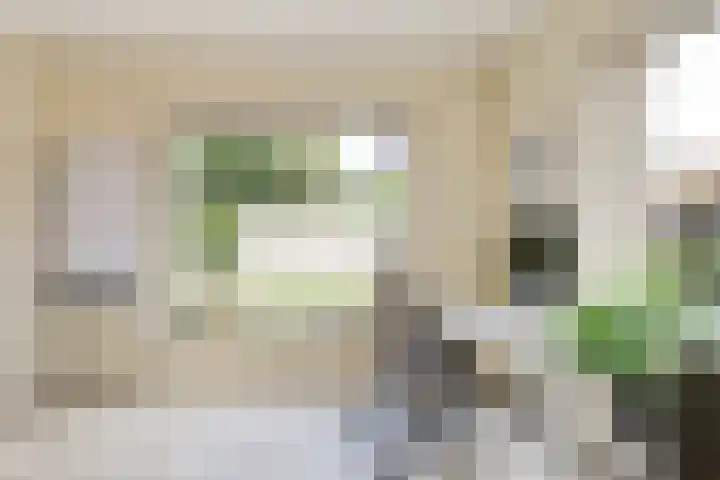 Hogenkamp 7 Hattem thumbnail 37