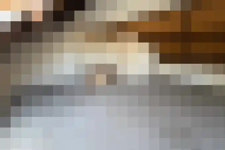 Hogepad 24 Heerde thumbnail 16