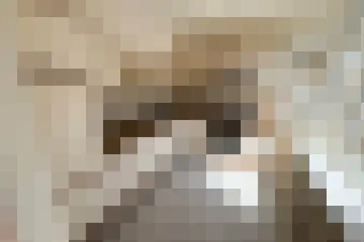 Hogepad 24 Heerde thumbnail 5