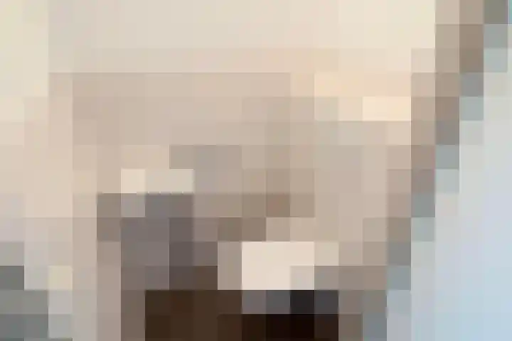 Hogepad 24 Heerde thumbnail 7
