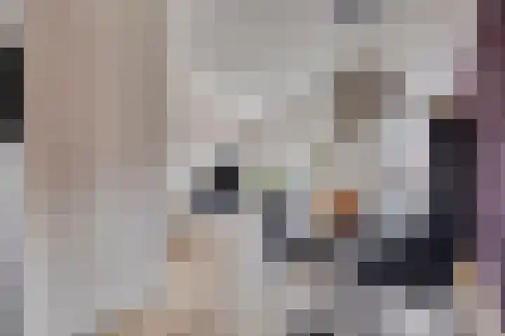 Hogepad 40 a Heerde thumbnail 12