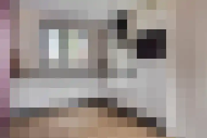 Hogepad 40 a Heerde thumbnail 14