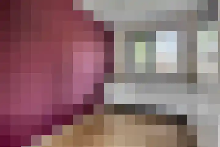 Hogepad 40 a Heerde thumbnail 17