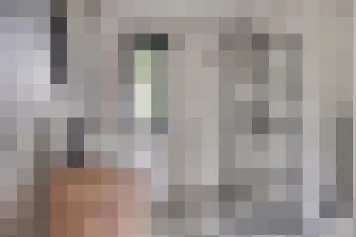Hogepad 40 a Heerde thumbnail 23