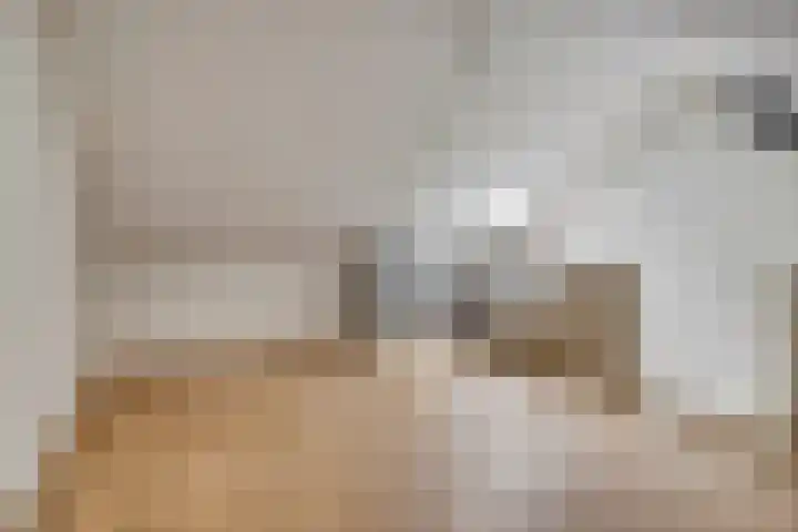Hogepad 40 a Heerde thumbnail 26