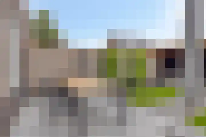 Hogepad 40 a Heerde thumbnail 28